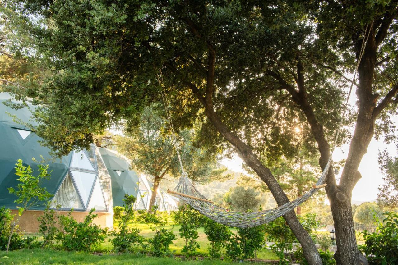 Lusso Glamping Bodrum酒店 外观 照片