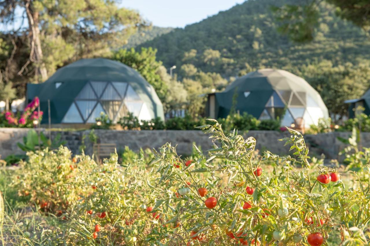 Lusso Glamping Bodrum酒店 外观 照片