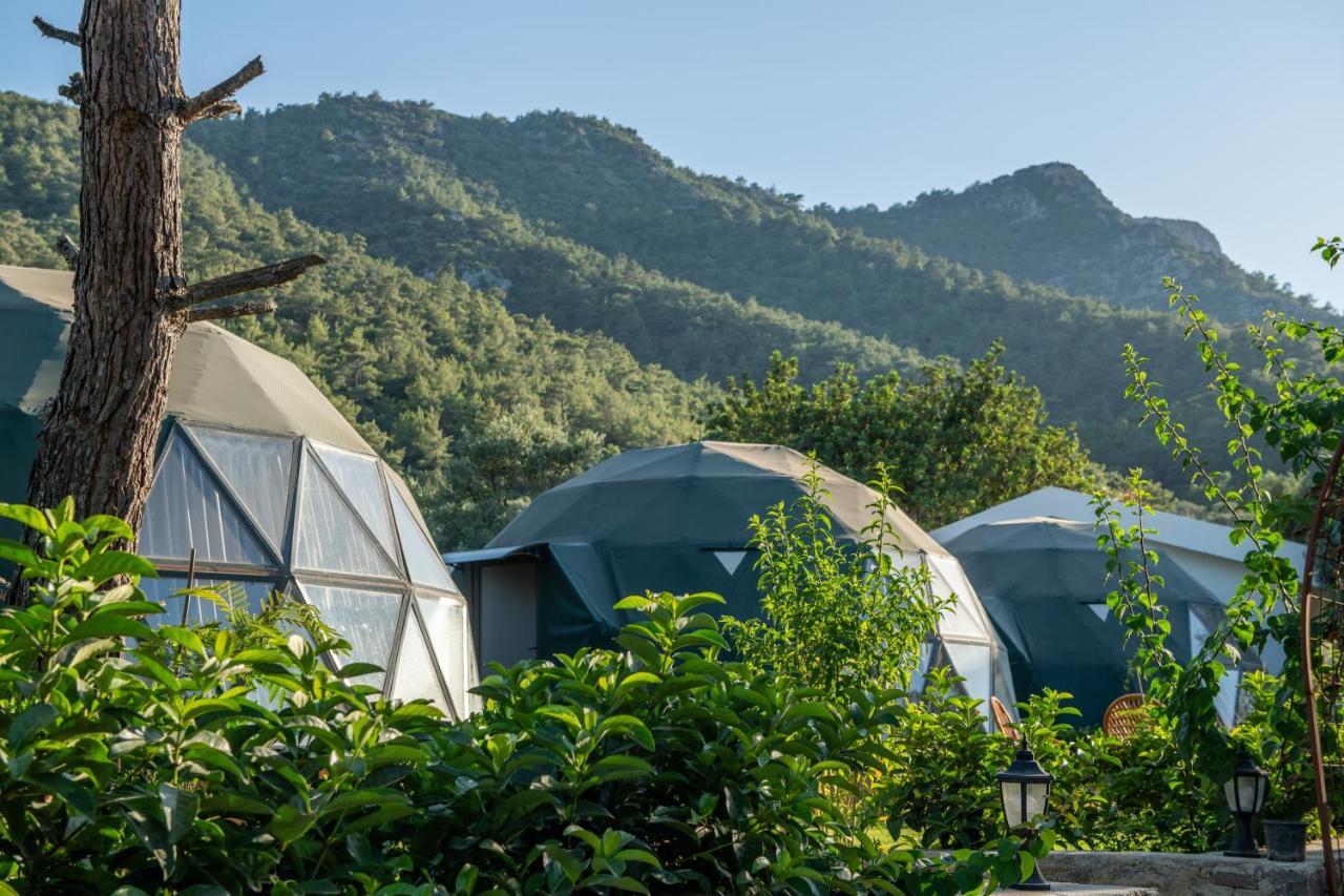 Lusso Glamping Bodrum酒店 外观 照片